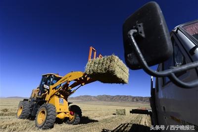 河卡镇交通新动态，发展引领地方经济腾飞