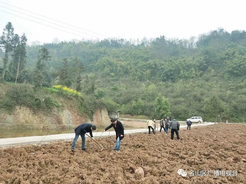 名山县财政局最新发展规划，塑造可持续未来财政之路