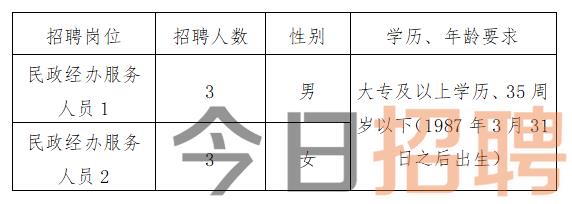 延庆县人民政府办公室最新招聘信息概览