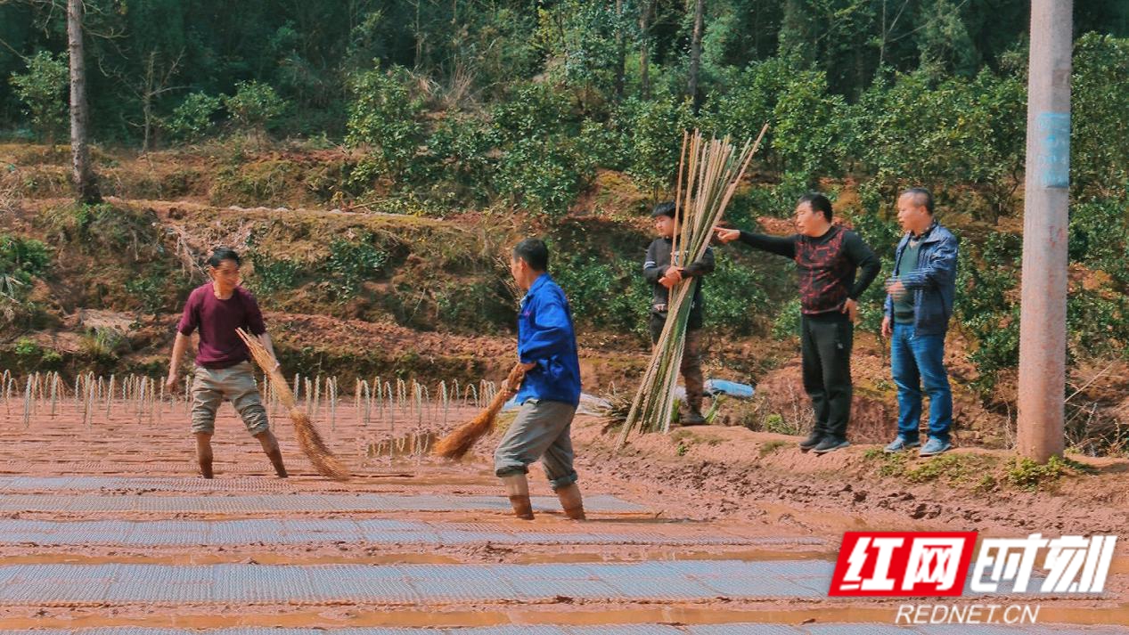 辰溪县农业农村局最新动态报道