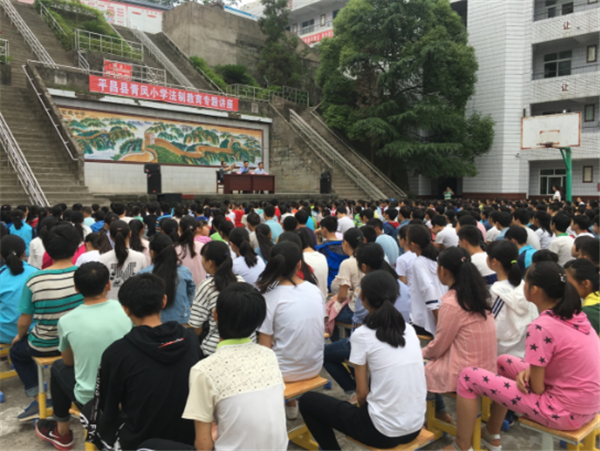 平昌县小学最新动态报道