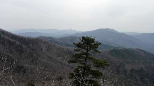 金紫山林场绿色发展项目，探索与实践