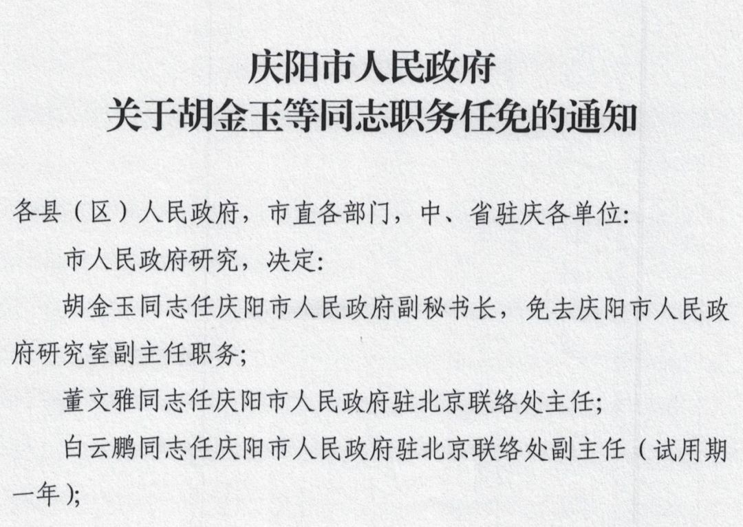 金明区人民政府办公室人事任命通知发布