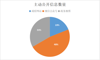 加查县数据和政务服务局未来发展规划概览