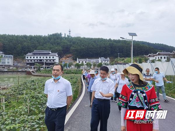 湘西土家族苗族自治州市统计局新任领导亮相及领导动态更新