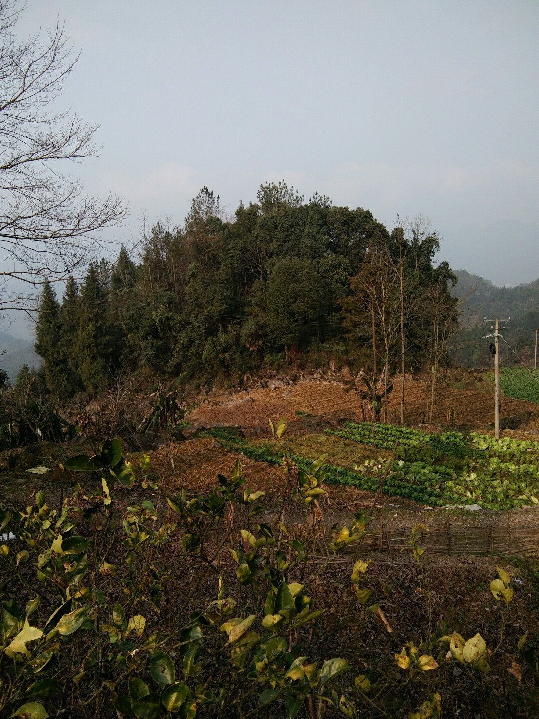 白鹤山乡的天气预报更新通知