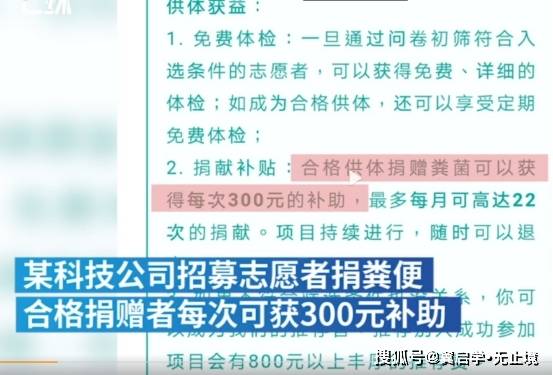 元头村委会最新招聘信息全面解析