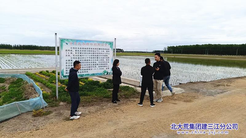 新城子区示范农场，现代化农业发展的璀璨明珠最新新闻