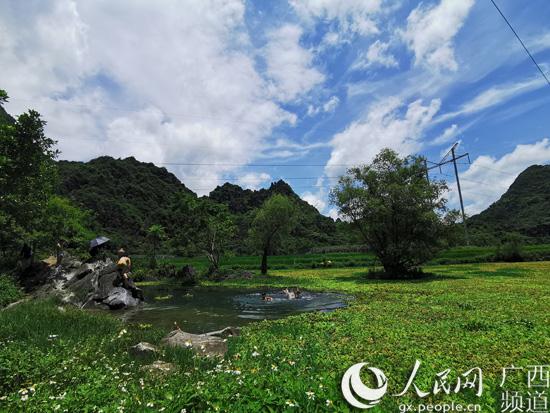 镇圩瑶族乡新项目助力地方经济发展与乡村振兴