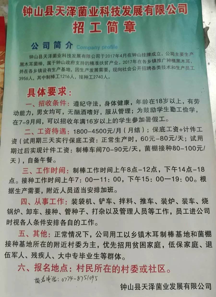 其日村最新招聘信息全面解析